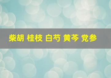 柴胡 桂枝 白芍 黄芩 党参